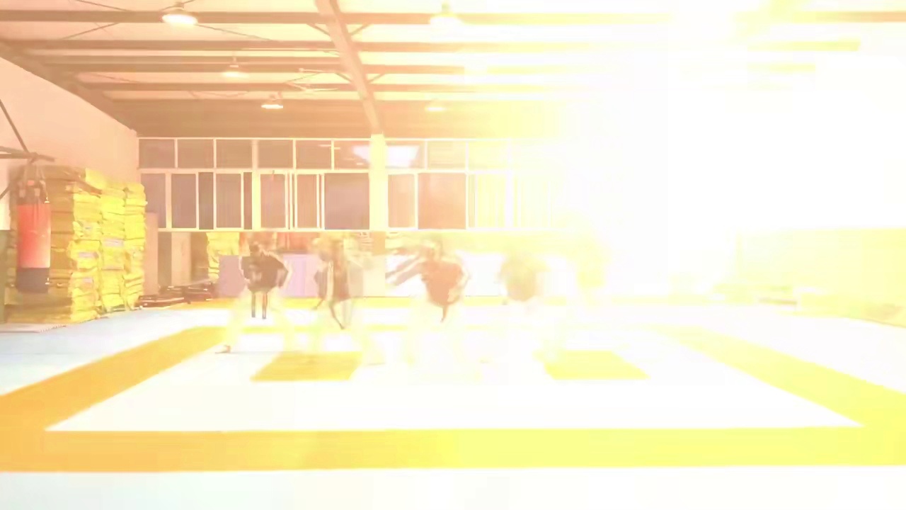 ȭƵ