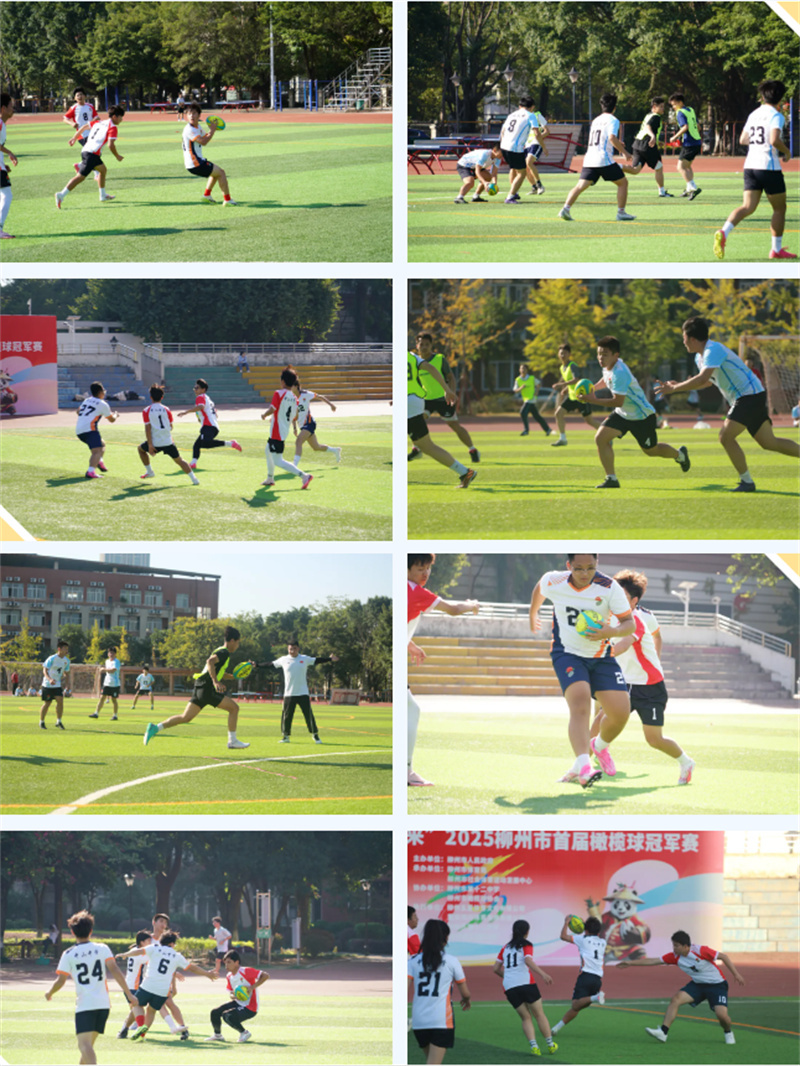 �����е�ʮ�����˶�����������Բ����Ļ��